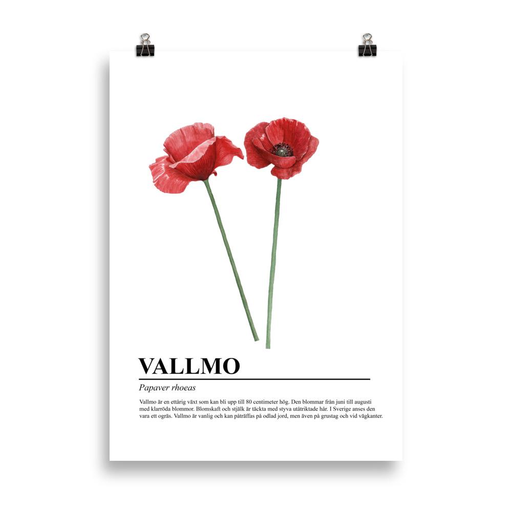 Vallmo poster Gotland Visby Tavla